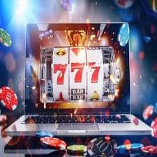 333win69